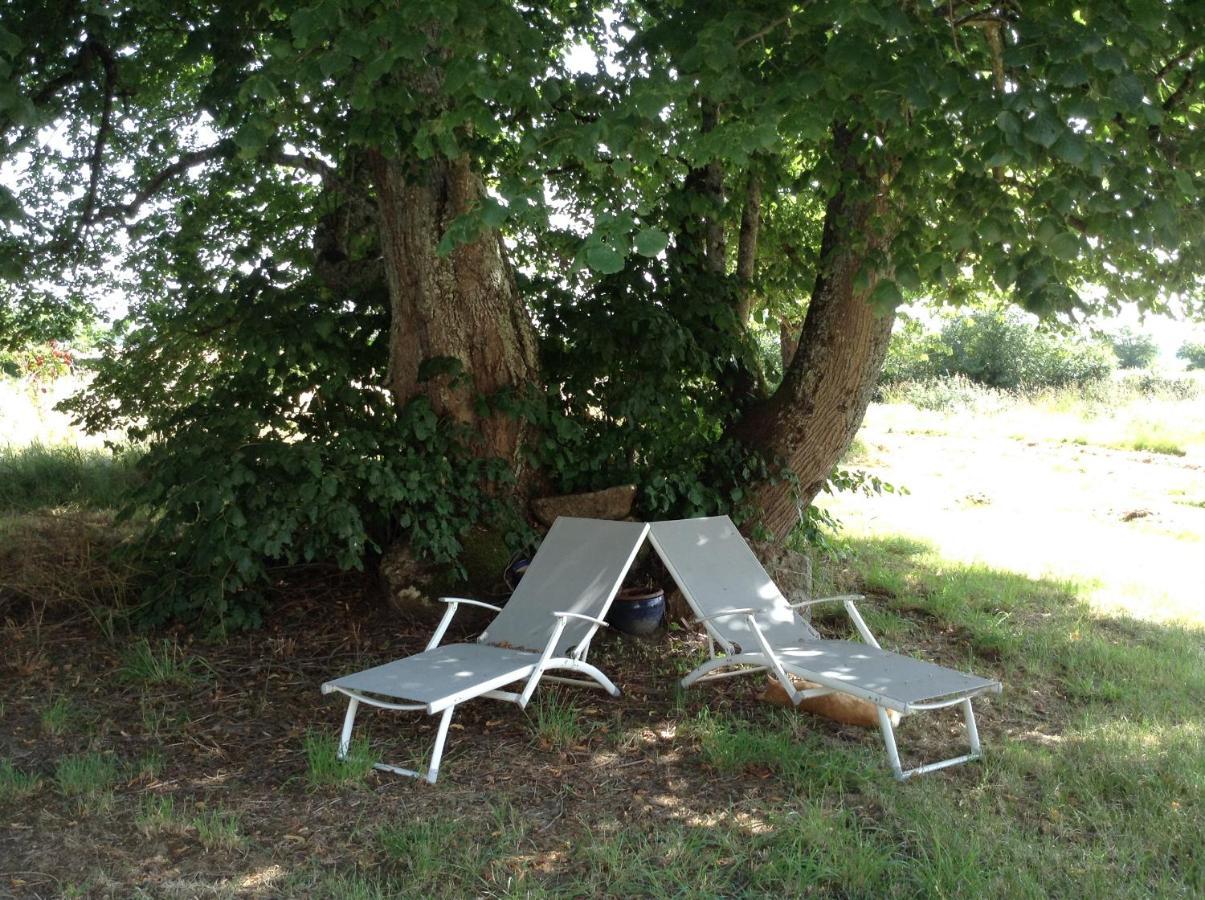 Homestay Arrabella Availles-Limouzine Bagian luar foto